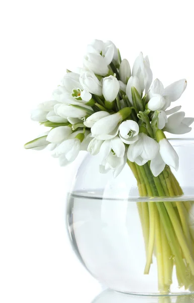 Schöner Strauß Schneeglöckchen in transparenter Vase isoliert auf weiß — Stockfoto