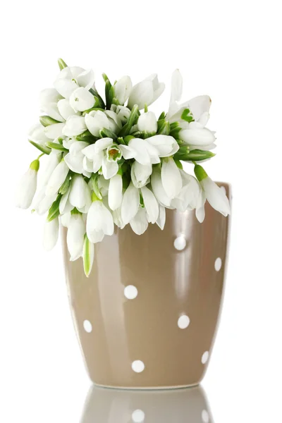Krásnou kytici sněženky v hnědá váza izolovaných na bílém — Stock fotografie