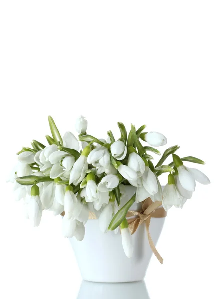 Beautiful bouquet of snowdrops in vase with bow isolated on white — Stock Photo, Image