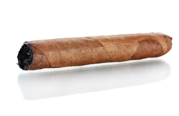 Cigar isolated on white — Stock Photo, Image