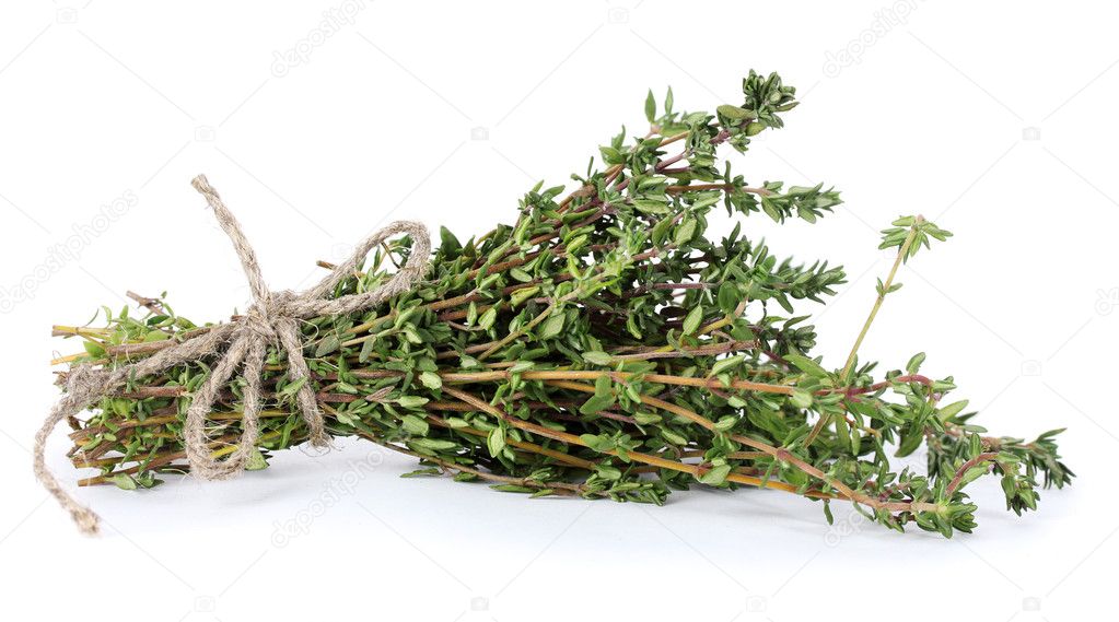 Fresh green thyme isolated on white — Stock Photo © belchonock 9687065