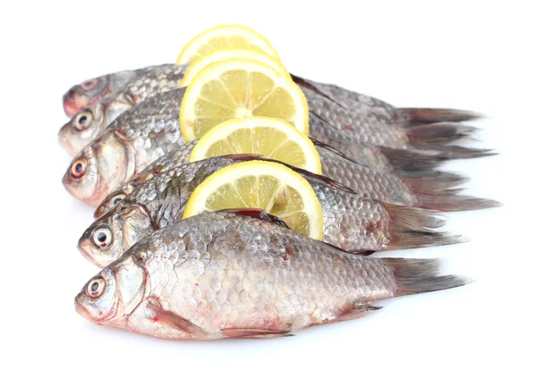 Pesci freschi con limone isolato su bianco — Foto Stock