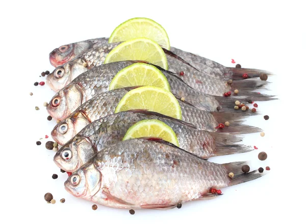 Fresh fishes with lime and spice isolated on white — Stock Photo, Image