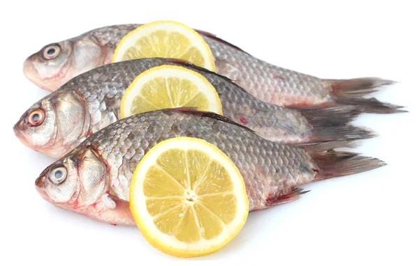 Čerstvé ryby s citronem izolovaných na bílém — Stock fotografie
