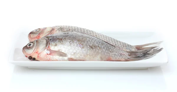 Свежие рыбы на тарелке изолированы на белом — стоковое фото