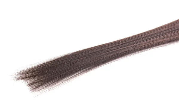Elszigetelt fehér, fényes barna haj — Stock Fotó