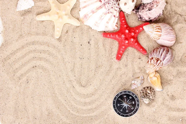 Conchas marinas y estrellas de mar con kompass en la arena —  Fotos de Stock
