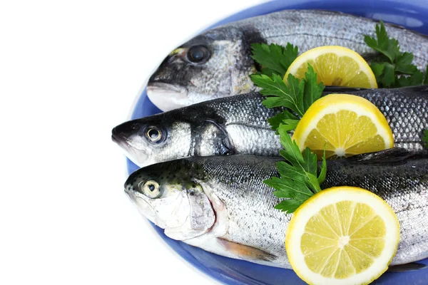 Pesci freschi con limone e prezzemolo su piatto isolato su bianco — Foto Stock