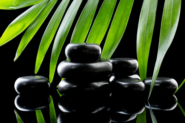 Spa stones and green palm leaf on black background — Stock Photo, Image
