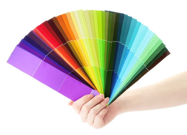 Hand holding bright palette of colors isolated on white — Stock Photo, Image