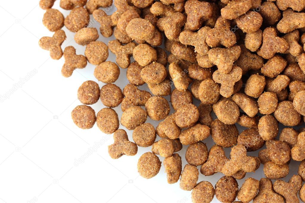 Dry cat food isolated on white