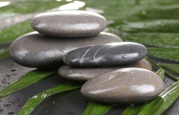 Piedras de spa con gotas de agua en hojas de palma sobre fondo negro —  Fotos de Stock