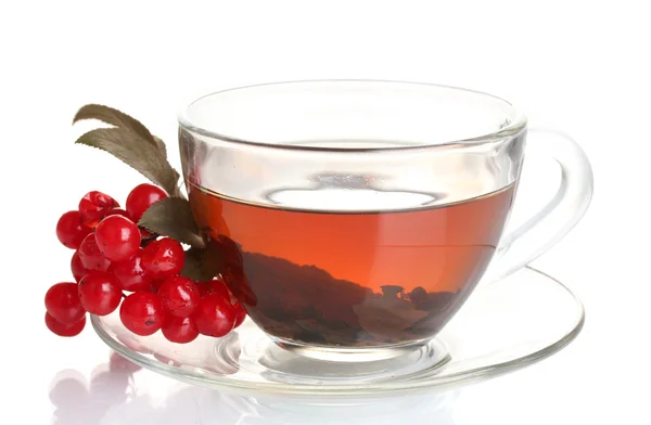 Black tea with red viburnum in glass cup isolated on white — Stock Photo, Image