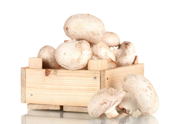 新鲜蘑菇在一个木箱上白色隔离 — 图库照片