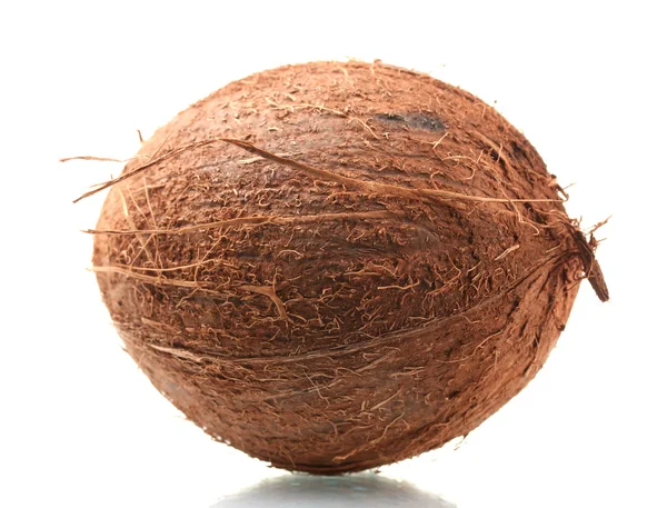 Kokosnuss isoliert auf Weiß — Stockfoto
