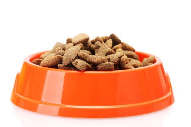 Dry dog food in orange bowl isolated on white clipart