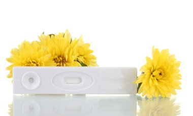 gebelik testi ve üzerinde beyaz izole çiçekler