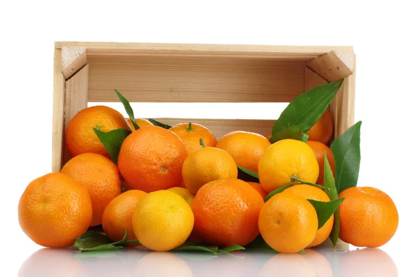Стиглі смачні мандарини з листям у дерев'яній коробці впали ізольовані на білому — стокове фото