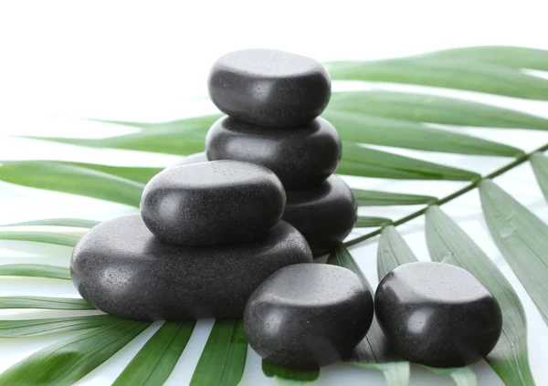 Wellness kameny na zelené Palmový list izolované na bílém — Stock fotografie