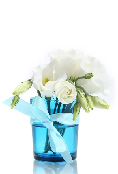 美しい春の花の白で隔離される青い花瓶 — ストック写真