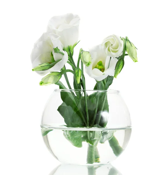 Beautiful spring flowers in vase isolated on white — Stock Photo, Image