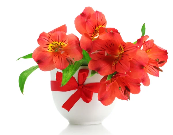 Vazoda beyaz izole alstroemeria kırmızı çiçekler — Stok fotoğraf