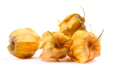 physalis öbek üzerinde beyaz izole