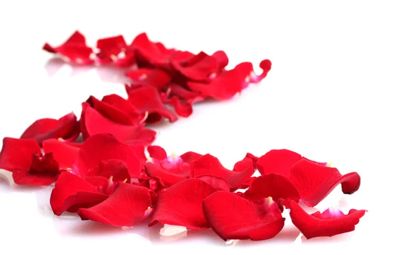 Beaux pétales de roses rouges isolés sur blanc — Photo