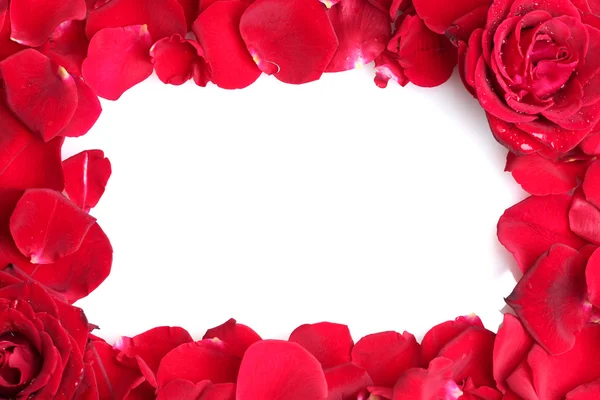 Hermosos pétalos de rosas rojas y rosas aisladas en blanco —  Fotos de Stock