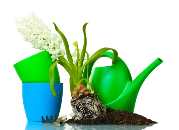 Beautiful hyacinth, soil and watering can isolated on white — Stock Photo, Image