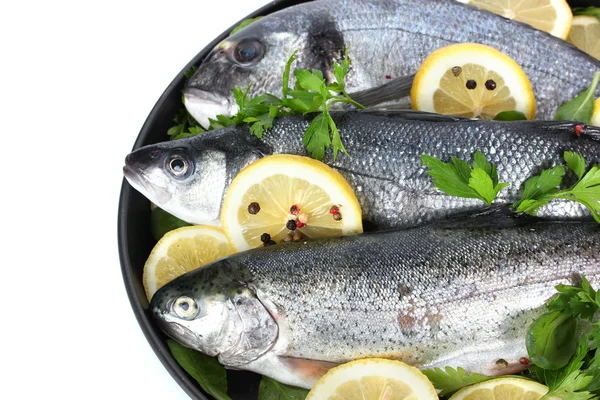 Limon, maydanoz ve karabiber üzerinde beyaz izole plaka üzerinde taze balıklar — Stok fotoğraf