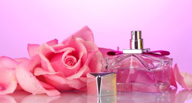 Perfume bottle and pink rose on pink clipart