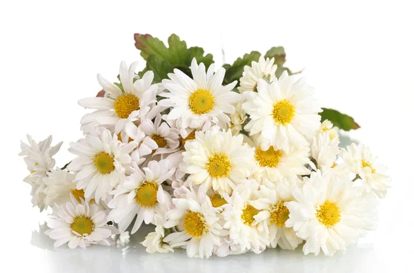 束美丽的白色上孤立的雏菊 — 图库照片