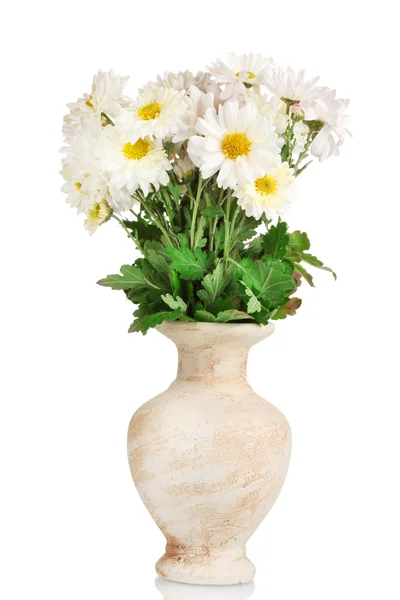 束美丽的花瓶被隔绝在白色的雏菊 — 图库照片