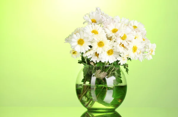 Beautiful bouquet of daisies in vase on green background — Stock Photo, Image