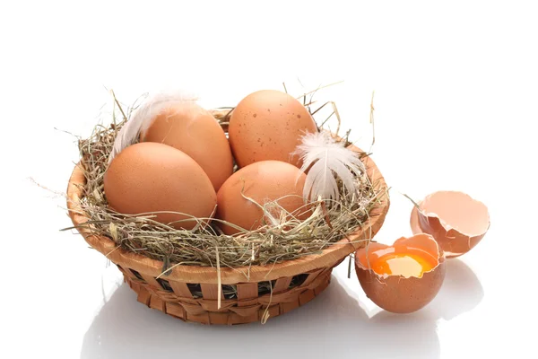 Chicken eggs in a nest isolated on white — Stock Photo, Image