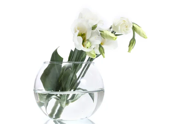 Krásný jarní květiny ve váze izolovaných na bílém — Stock fotografie