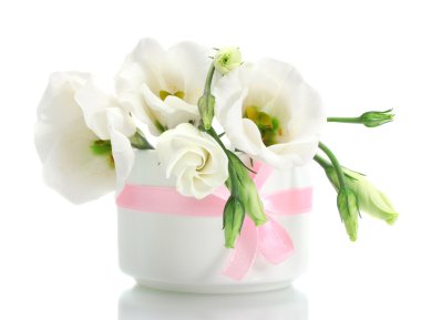 Beautiful spring flowers in vase isolated on white clipart