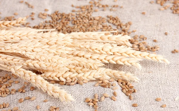 Wheat and wheat-ears on burlap closeup — Stock Photo, Image