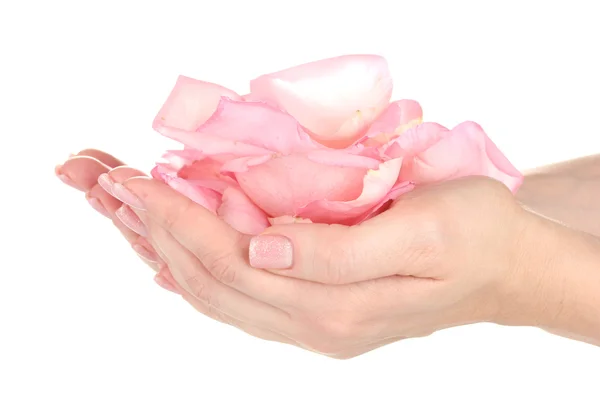 Rosa rosa con le mani su sfondo bianco — Foto Stock