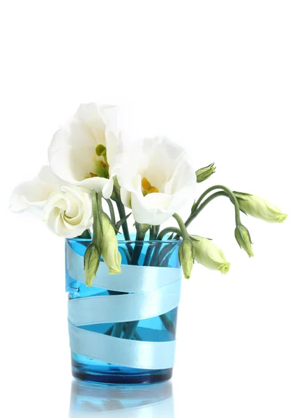 Belas flores de primavera em vaso azul isolado em branco — Fotografia de Stock