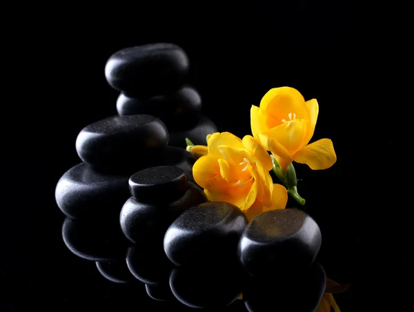 スパの石と黒の背景に黄色の花 — ストック写真