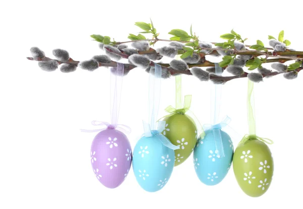 Pussy-willow twigs with Easter eggs isolated on white — Stock Photo, Image