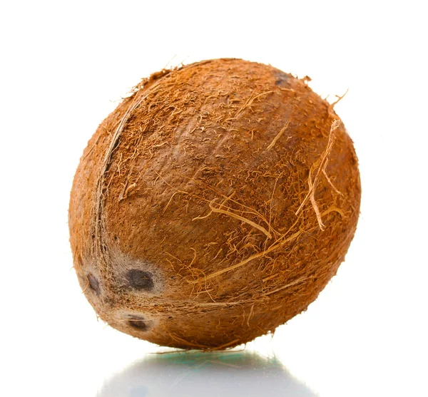 ? oconut geïsoleerd op wit — Stockfoto