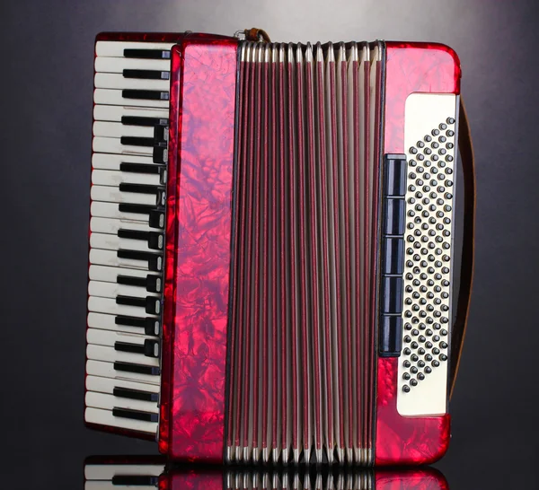 Retro accordion on grey background — Stock Photo, Image