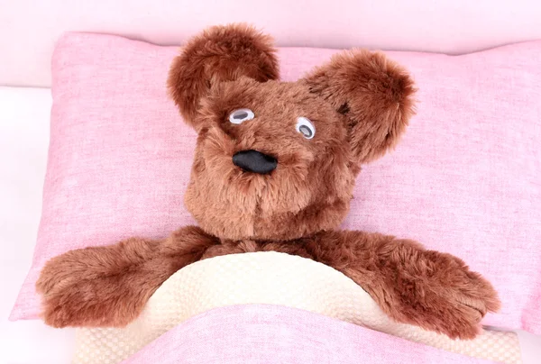 Άρρωστος αρκούδα στο κρεβάτι — Φωτογραφία Αρχείου