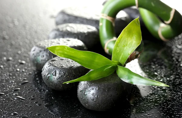 Spa stones with drops and green bamboo on grey background — Stock Photo, Image