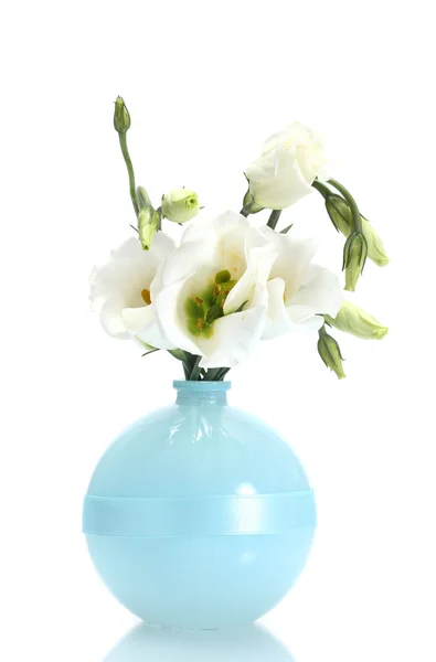 Όμορφη άνοιξη λουλούδια στο βάζο που απομονώνονται σε λευκό — Φωτογραφία Αρχείου