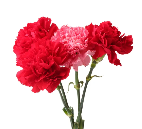 Bouquet of carnations in a glass isolated on white — Stock Photo, Image