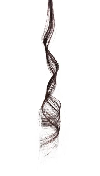 白で隔離される巻き毛の茶色の髪 — ストック写真